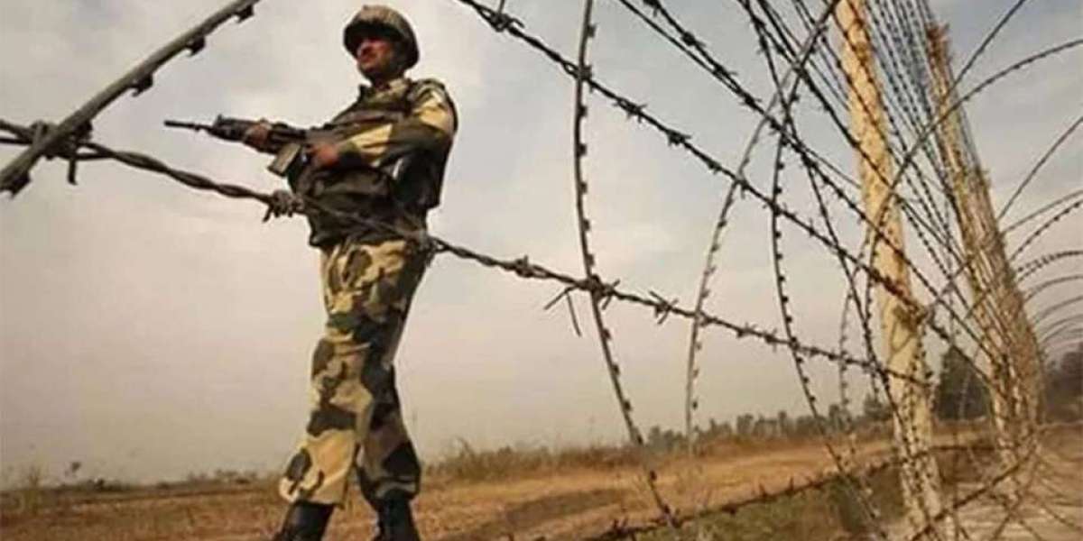 Bangladeshi youth was shot dead by BSF