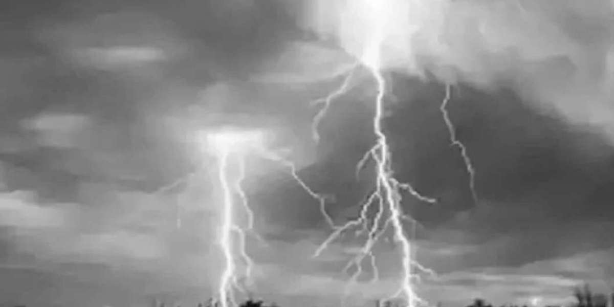 Two school students died due to lightning in Bogra