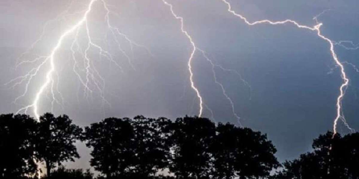 5 people were killed in different districts due to lightning