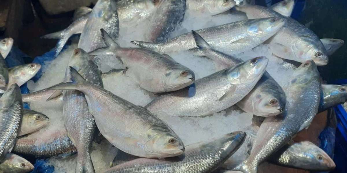 Hilsa production has increased in Khulna, but the price is still high