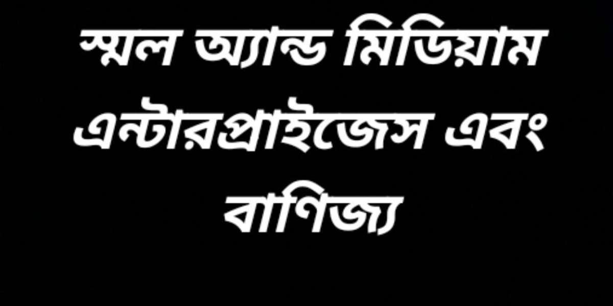 স্মল অ্যান্ড মিডিয়াম এন্টারপ্রাইজেস