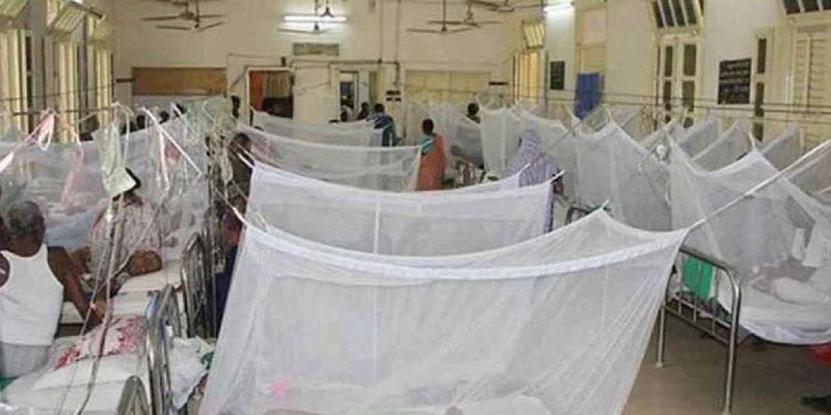 This year, 37,000 dengue patients were admitted