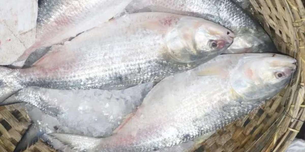 Hilsa has to be bought in the country at almost twice the export price