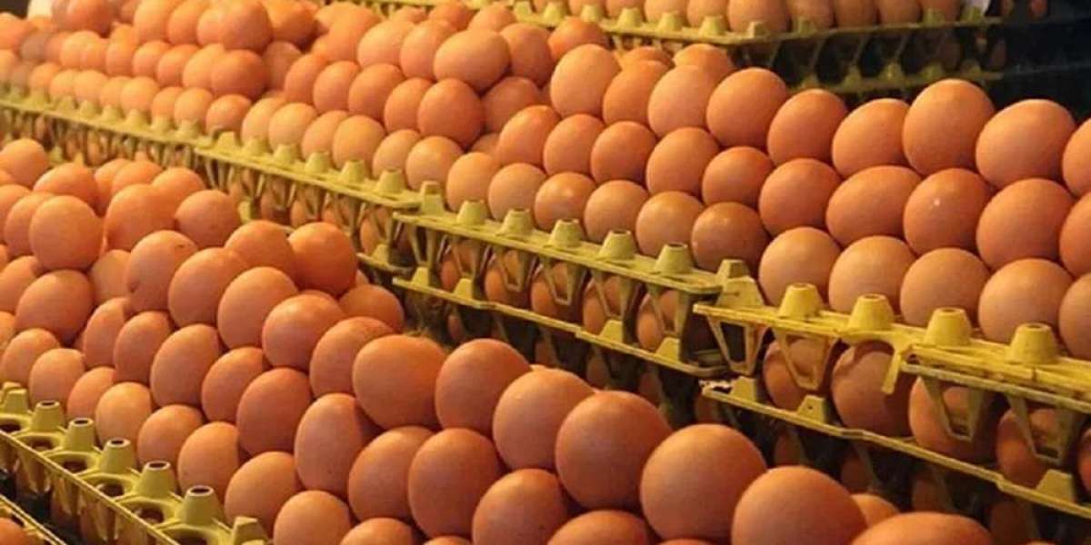 Another two lakh 31 thousand 840 pieces of eggs came from India