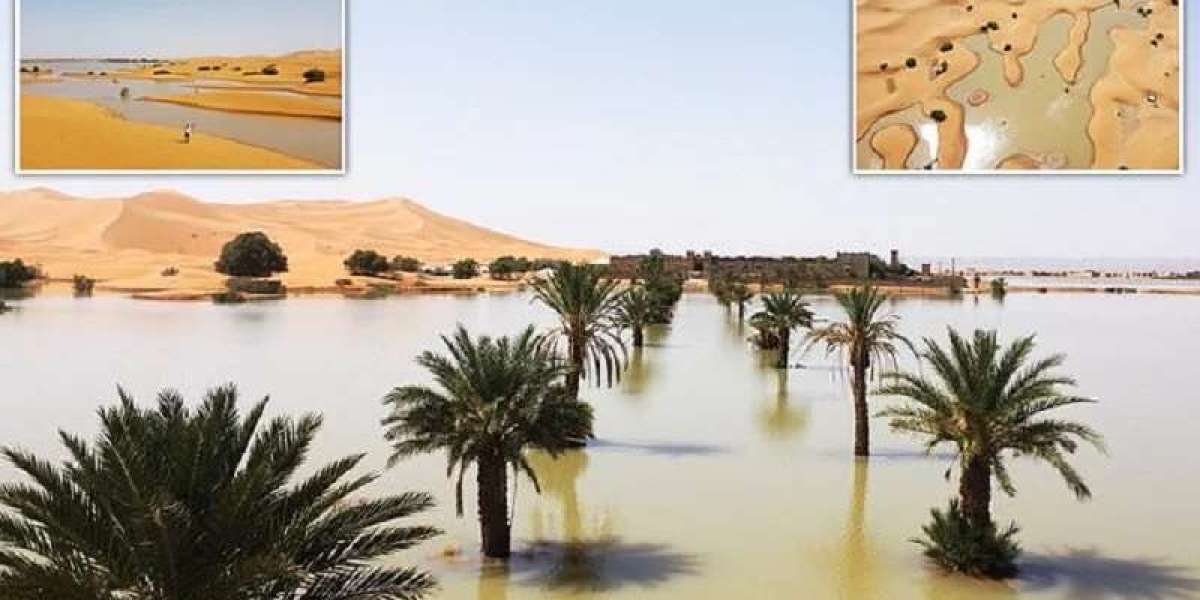 Rare floods in the world's largest desert, the Sahara