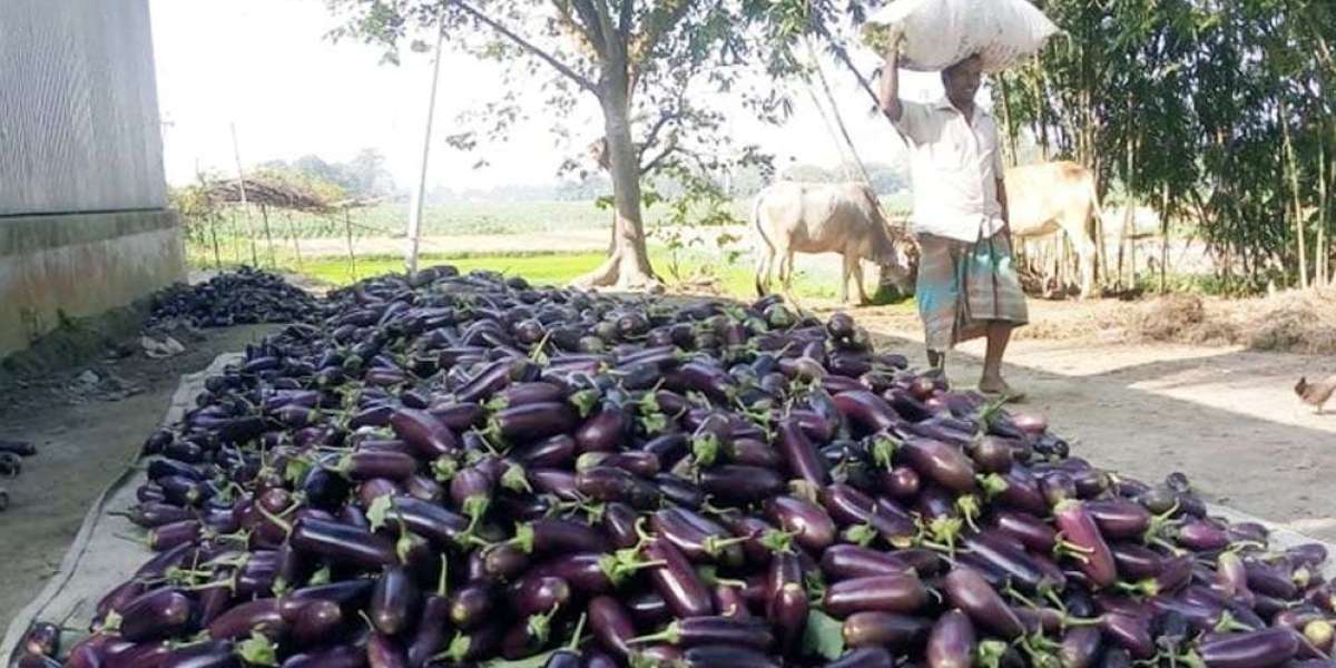 A farmer's 30 rupees of brinjal is bought by a consumer at 150 rupees