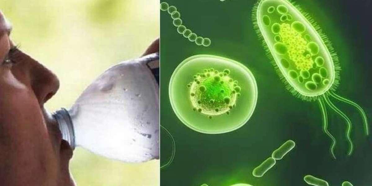 Virus/Bacteria: Who first appeared on Earth?