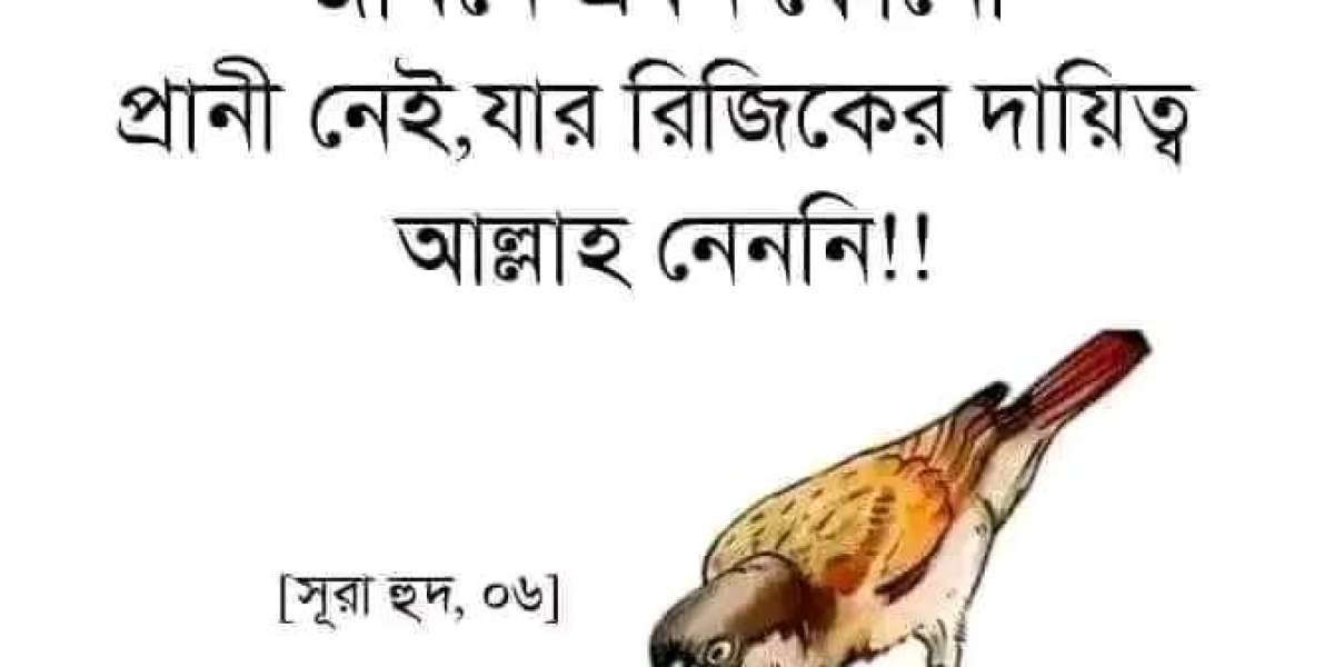 কুরআন তেলোয়াত