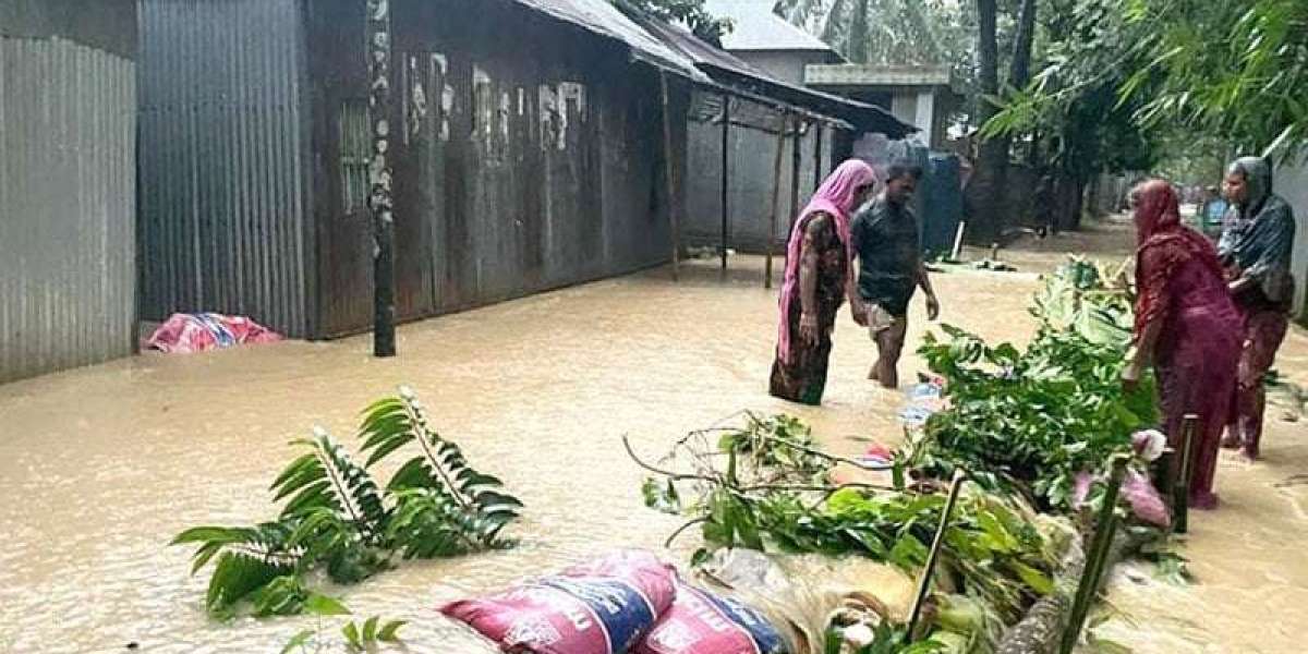 Millions of people trapped in water in Sherpur, 5 people died