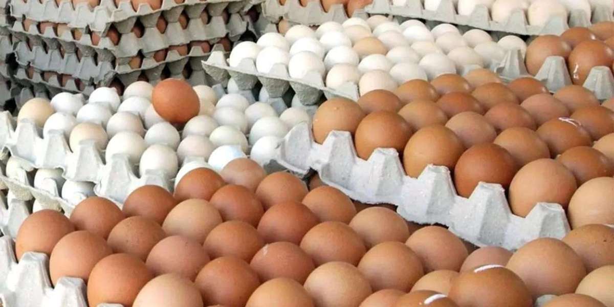 New price determination of eggs