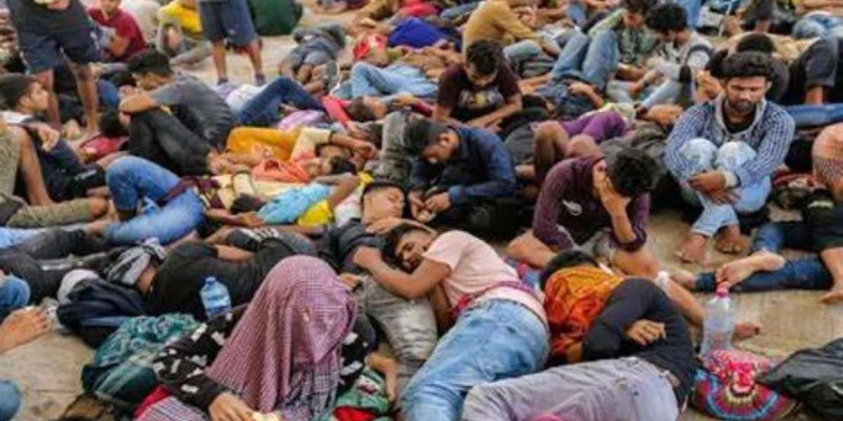 2650 illegal Bangladeshis returned from Libya