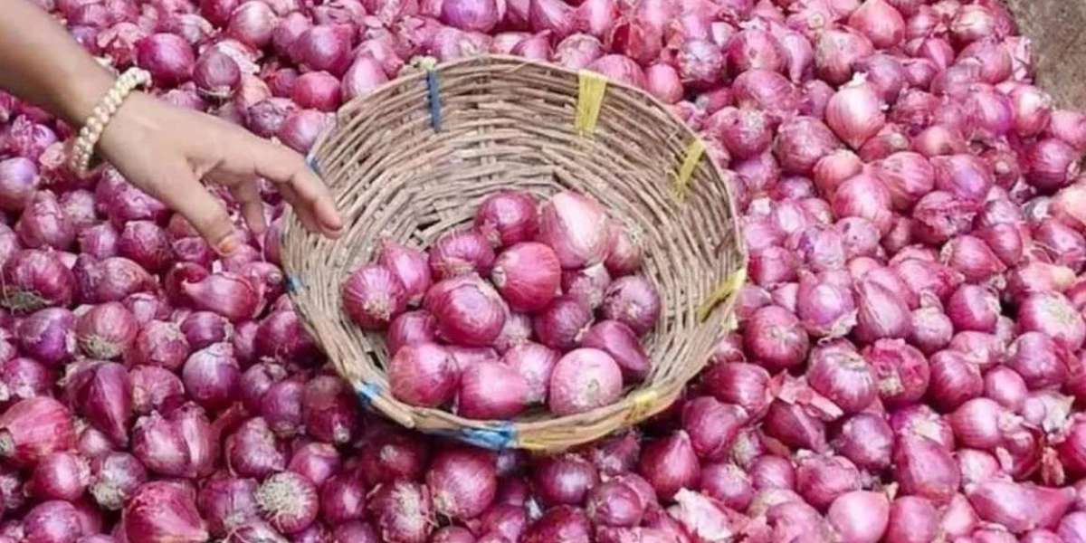 1 thousand 198 tons of Indian onion import in 2 days, good news about price