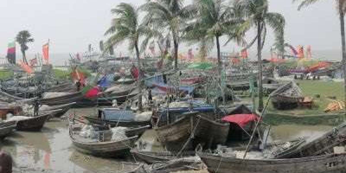 Fishermen in India benefit from breeding bans