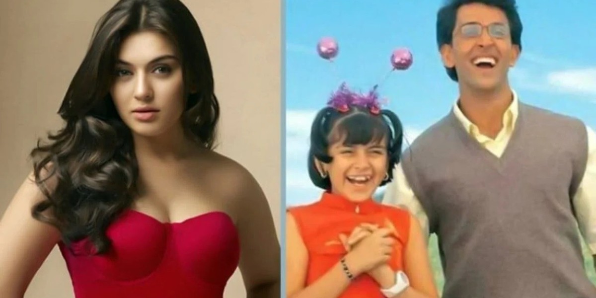 Hansika's body changed overnight with injections, replied the actress herself