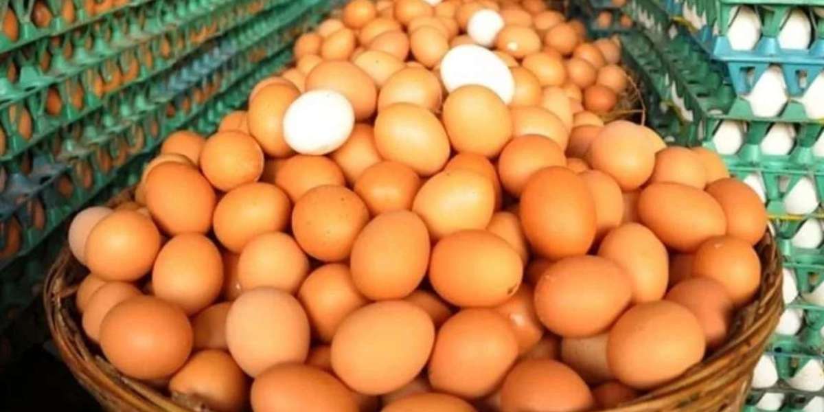 Another consignment of eggs arrived from India at 'half the price' of the country