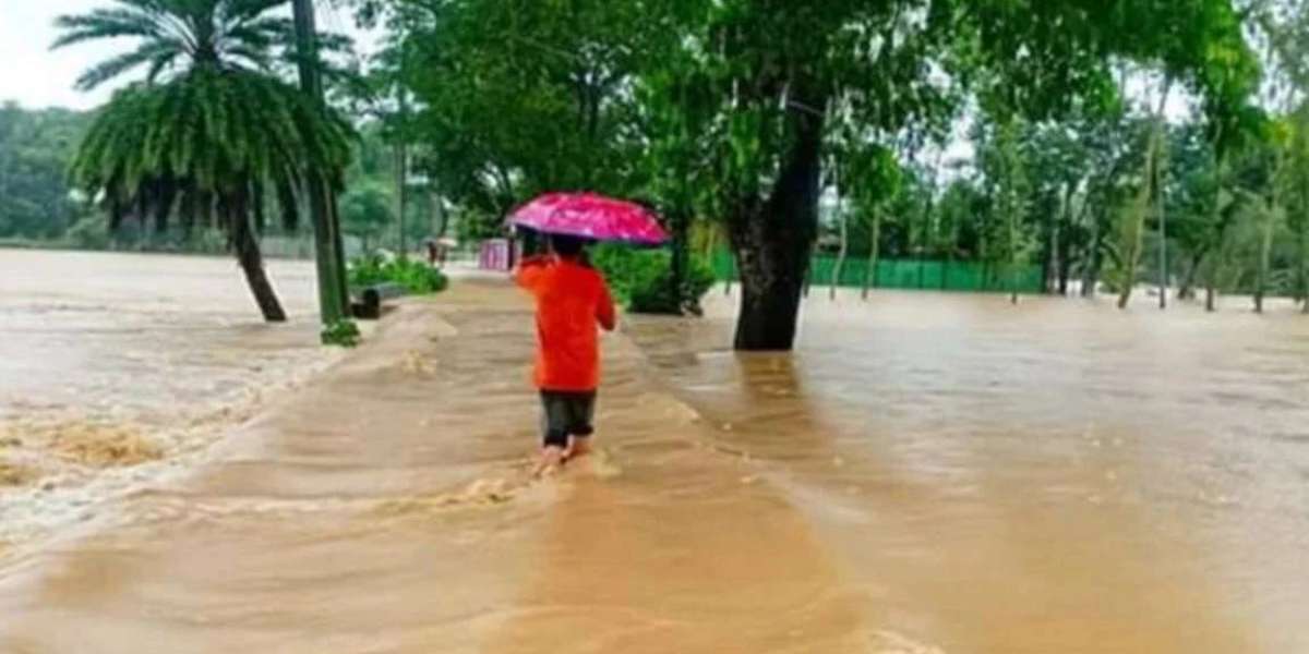 Latest flood situation in Sherpur