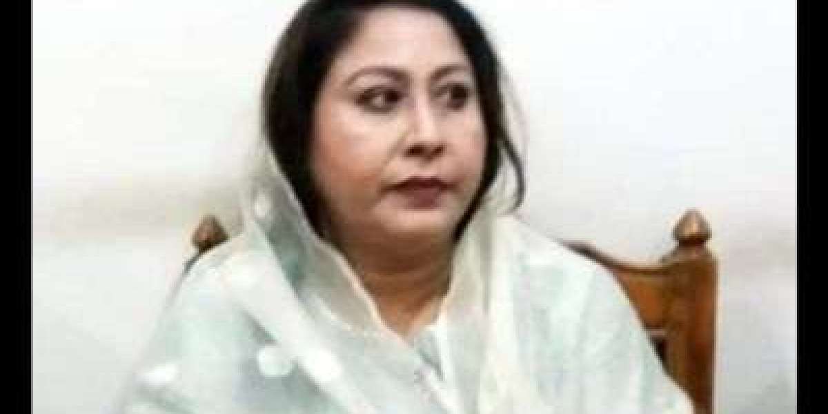 The people of the country were not good in Awami misrule: Sultana Ahmed