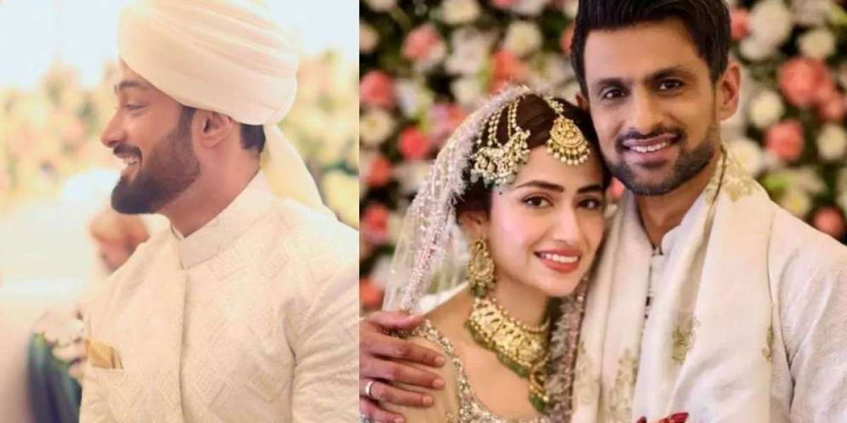 Shoaib Malik's wife's ex-husband got married