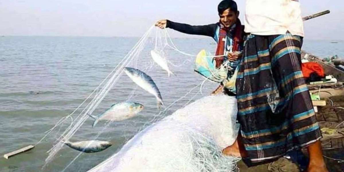 To protect mother hilsa, fishing has been stopped for 22 days from midnight today