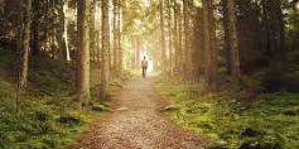 On the Path of Light: A Good Man's Journey"