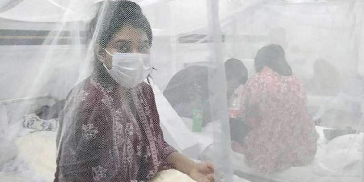 8 deaths in dengue, 11 hospitalized