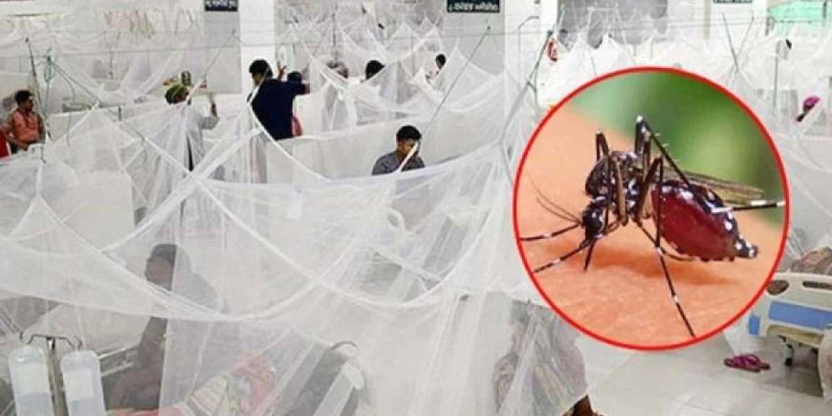 Dengue killed 78 people in 19 days