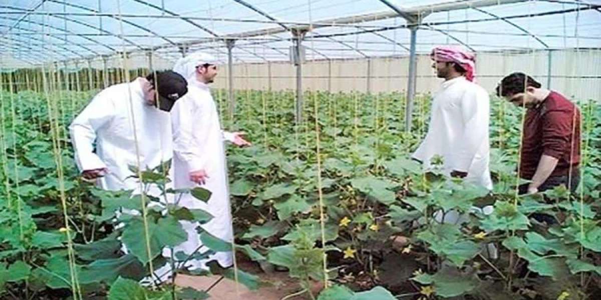 Saudi Arabia will invest 4 billion dollars in the country's agriculture sector