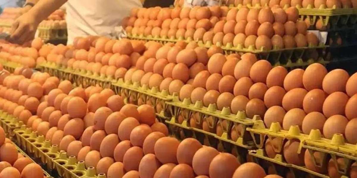 Producers will sell eggs at government prices from tomorrow