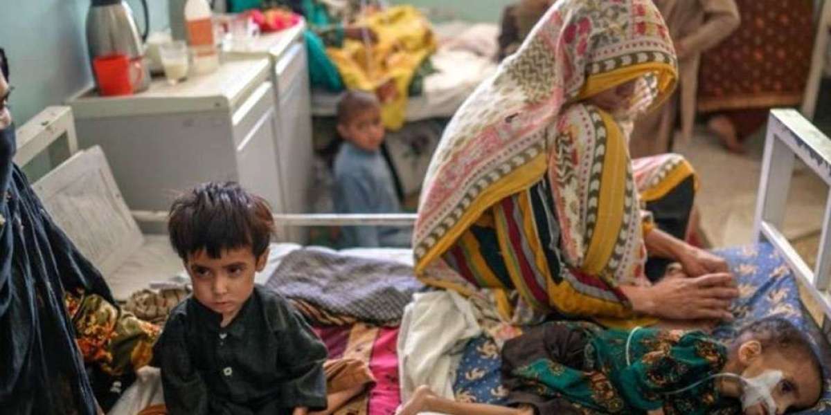 Afghan children are dying of malnutrition