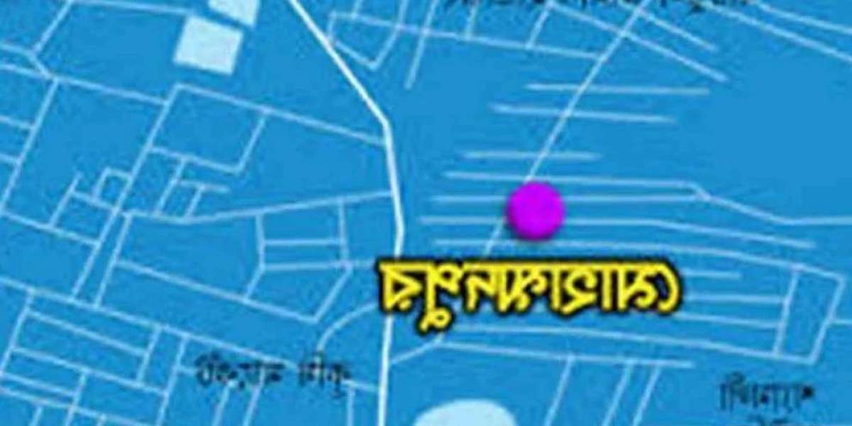 Miscreants shot dead two brothers in Mohammadpur's Shia mosque raw market