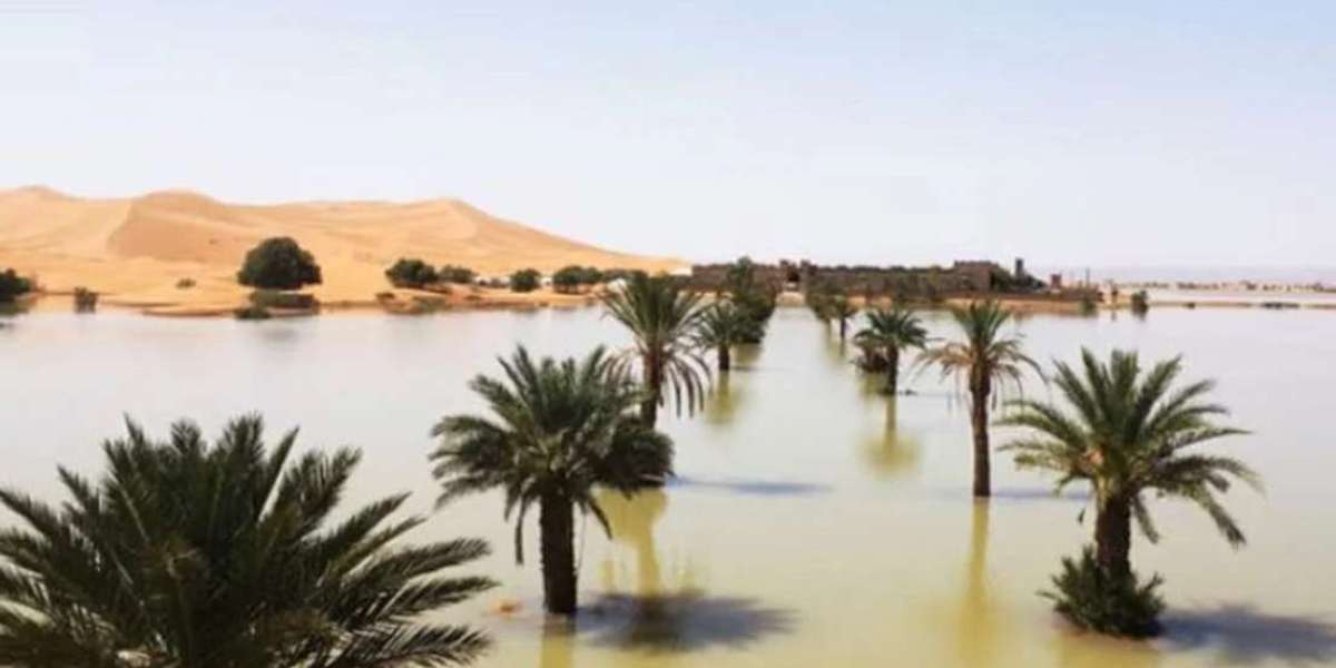 The first flood in the Sahara in half a century