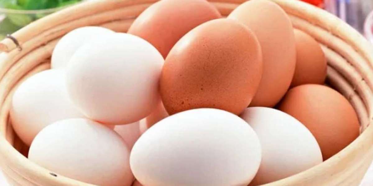 World Egg Day Today, Slogan 'Nutrition in Eggs, Power in Eggs, Health in Eggs'