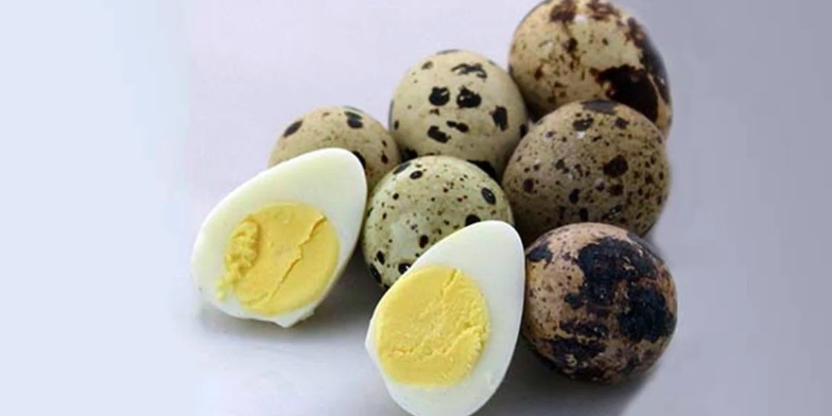 What happens to your body after eating quail eggs