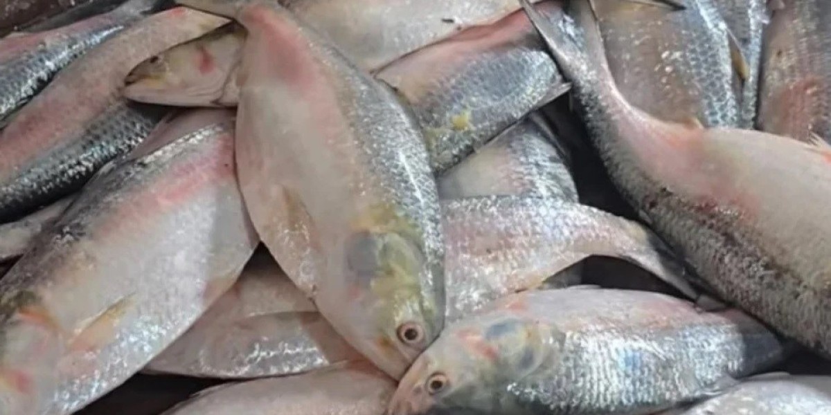 Price of hilsa out of reach, demand to cut and sell