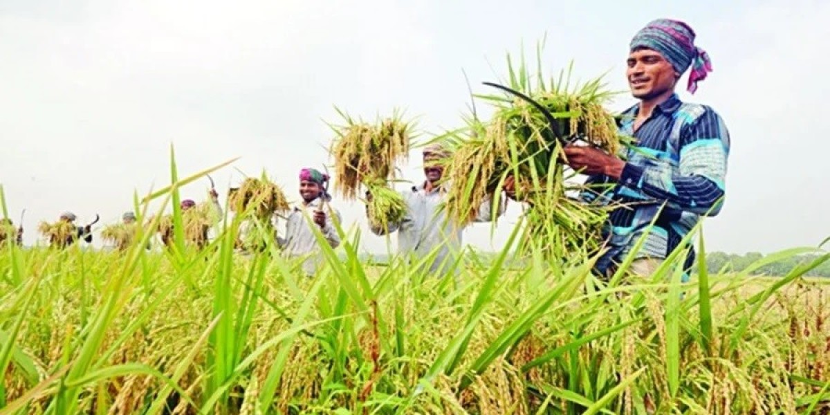 One and a half lakh crores of subsidy in agriculture in a decade and a half, most of it has been looted