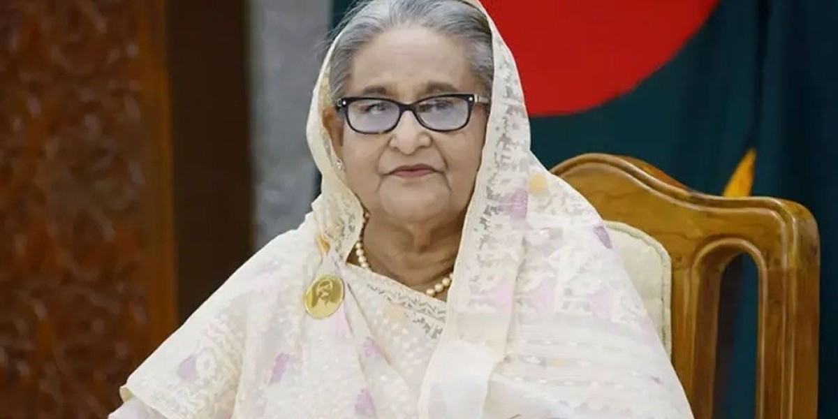 'Hasina's torture reminds of Hitler's Nazis'