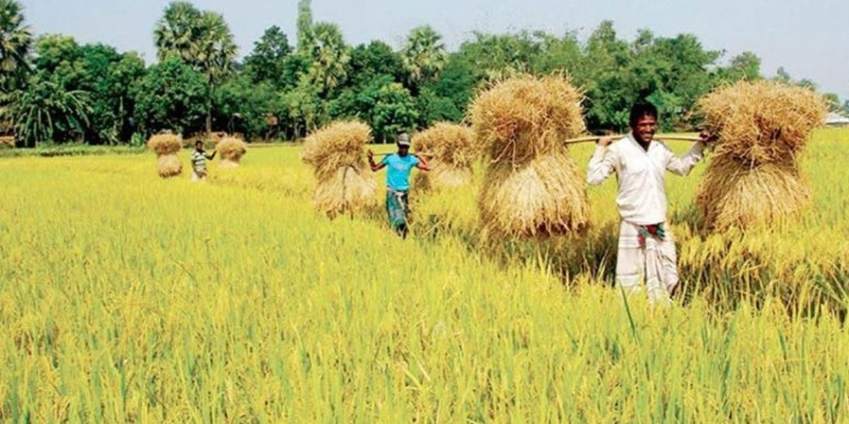 Within a month, disbursement of agricultural loans increased by more than 500 crore rupees