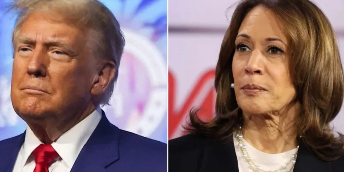 Kamala's support has increased in new polls