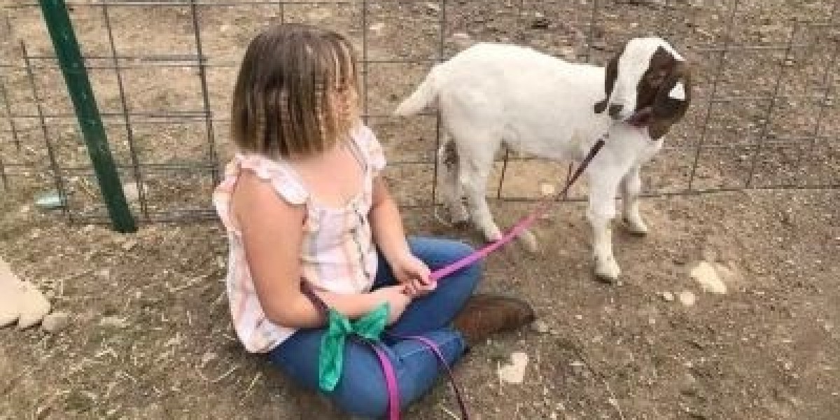 Slaughter of pet goats, 11-year-old child got 3.5 million taka