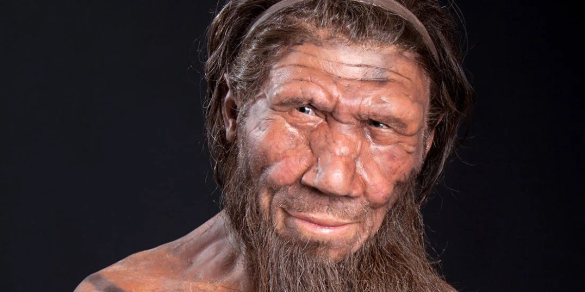 How Neanderthals and modern humans are genetically related