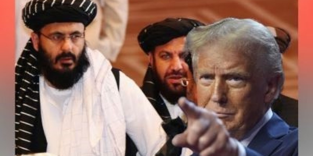 Why is the Taliban optimistic about Trump?