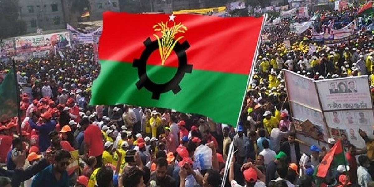 BNP is thinking of street programs to demand elections in March-April