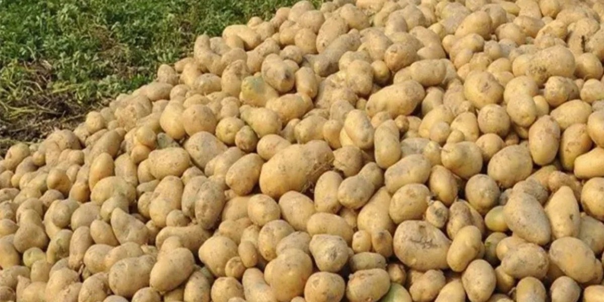 Chandpur has responded to the initiative to sell potatoes at the rate of Tk 50 per kg