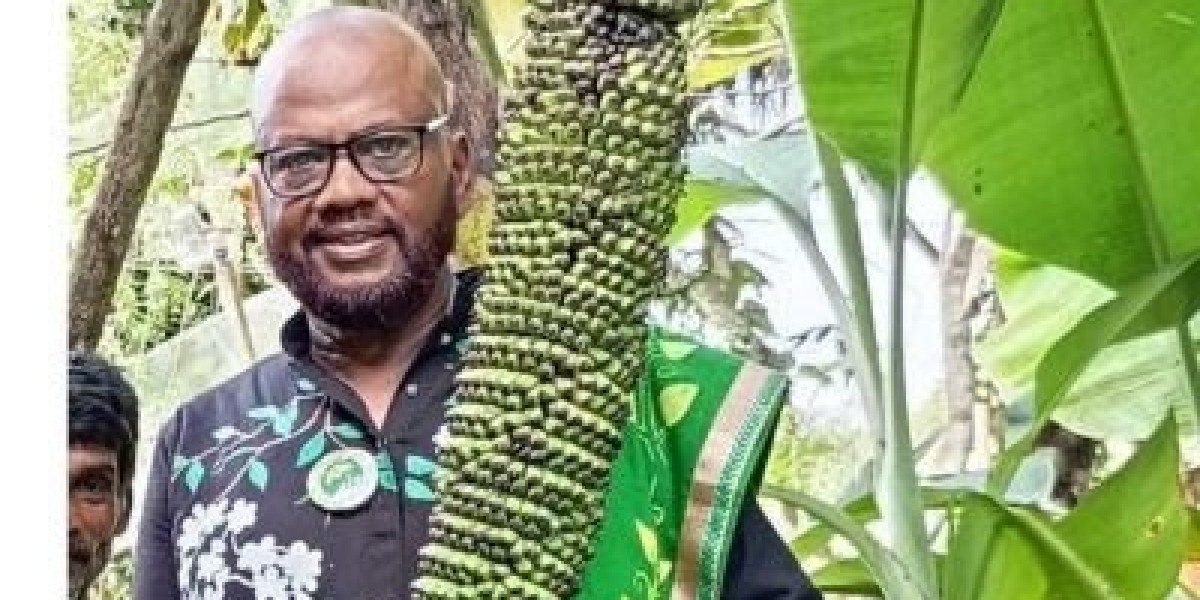 In Kamalganj, 7 feet long weeping willow, more than a thousand bananas