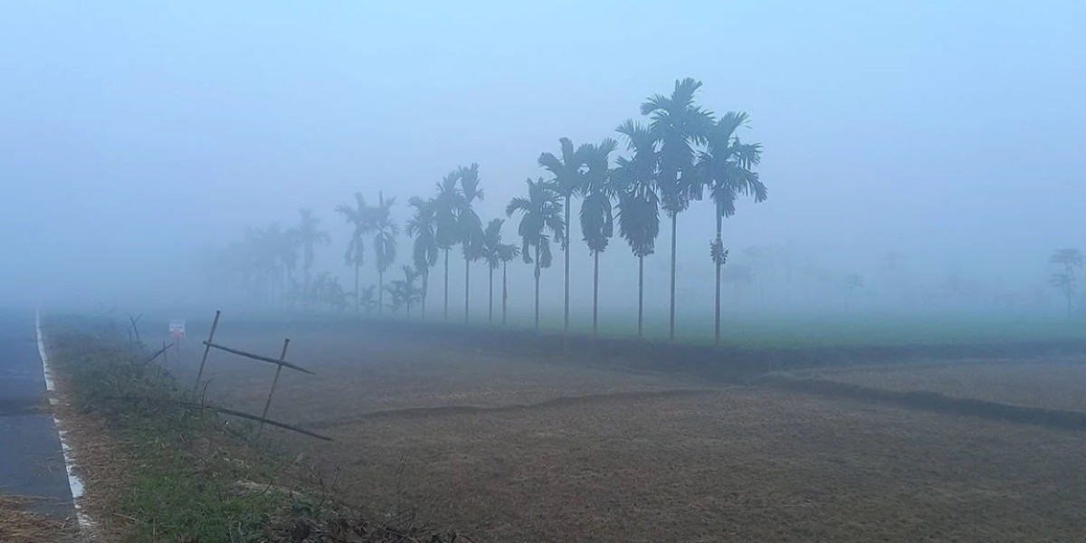 The temperature dropped to 11 degrees in Tetuliya