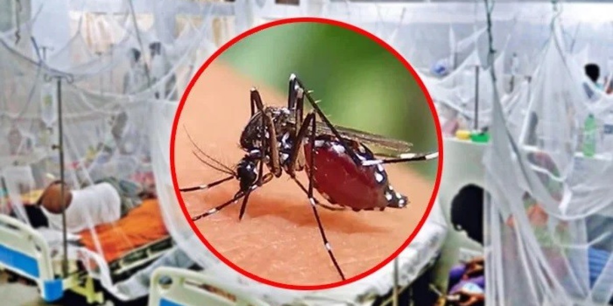 Five drinks that work like magic in dengue