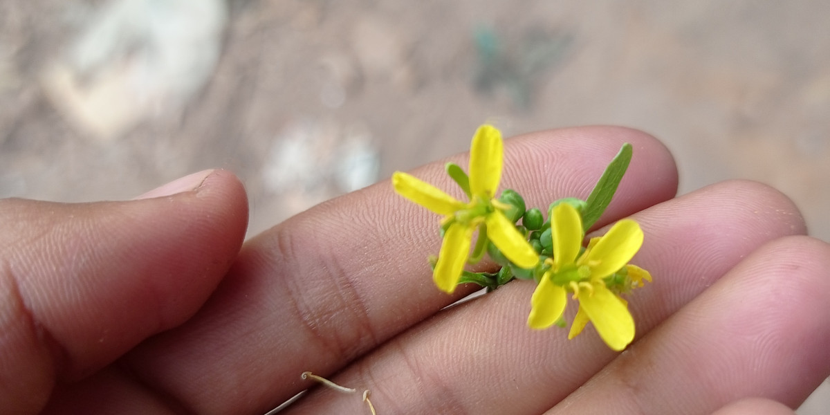 ১ ধার্মীক যুবক আর ১ মেয়ের গল্প