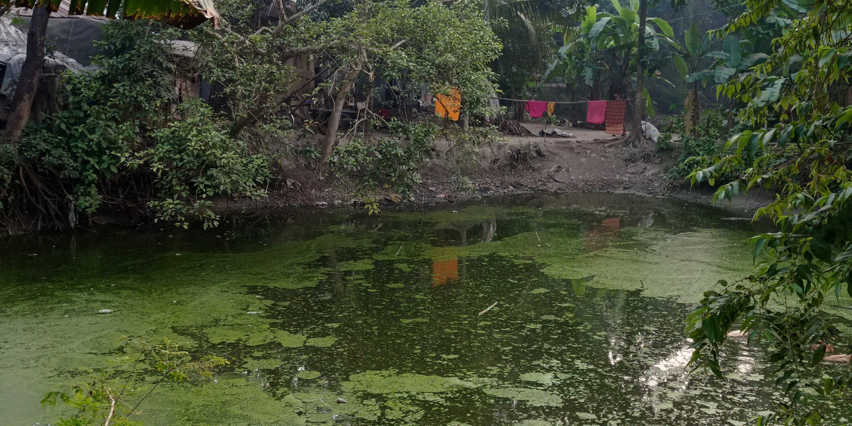 অপ্রত্যাশিত ইসলামিক গল্প