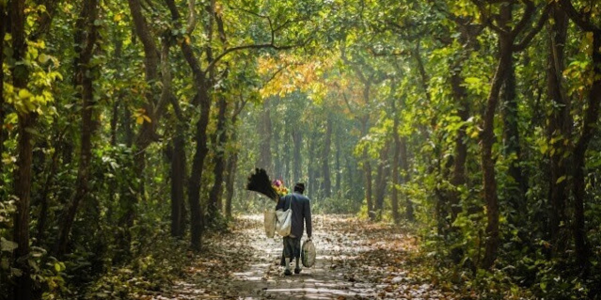 মধুপুর জাতীয় উদ্যান | Madhupur National Park