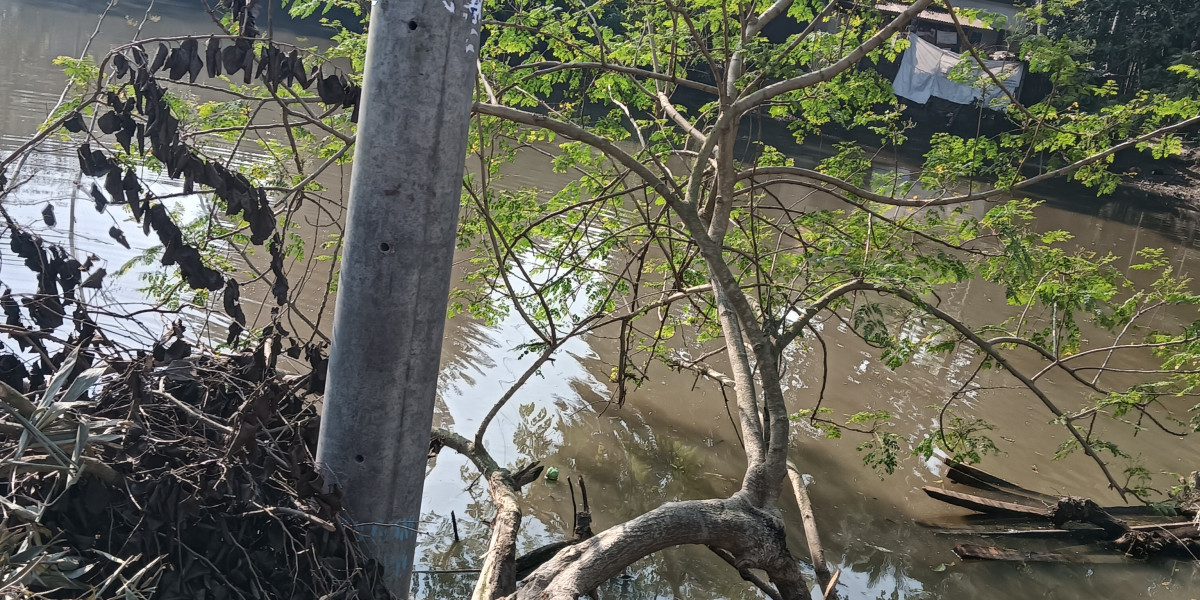 হজ্জযাত্রী পিতা ও পুত্রের কাহিনী